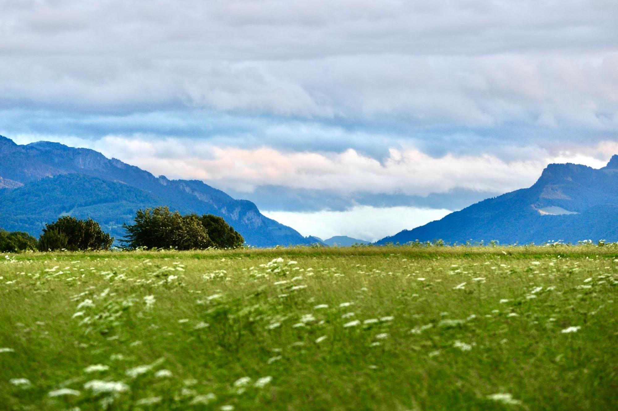 Zuhaeusl Am Chiemsee Appartements Breitbrunn am Chiemsee Dış mekan fotoğraf