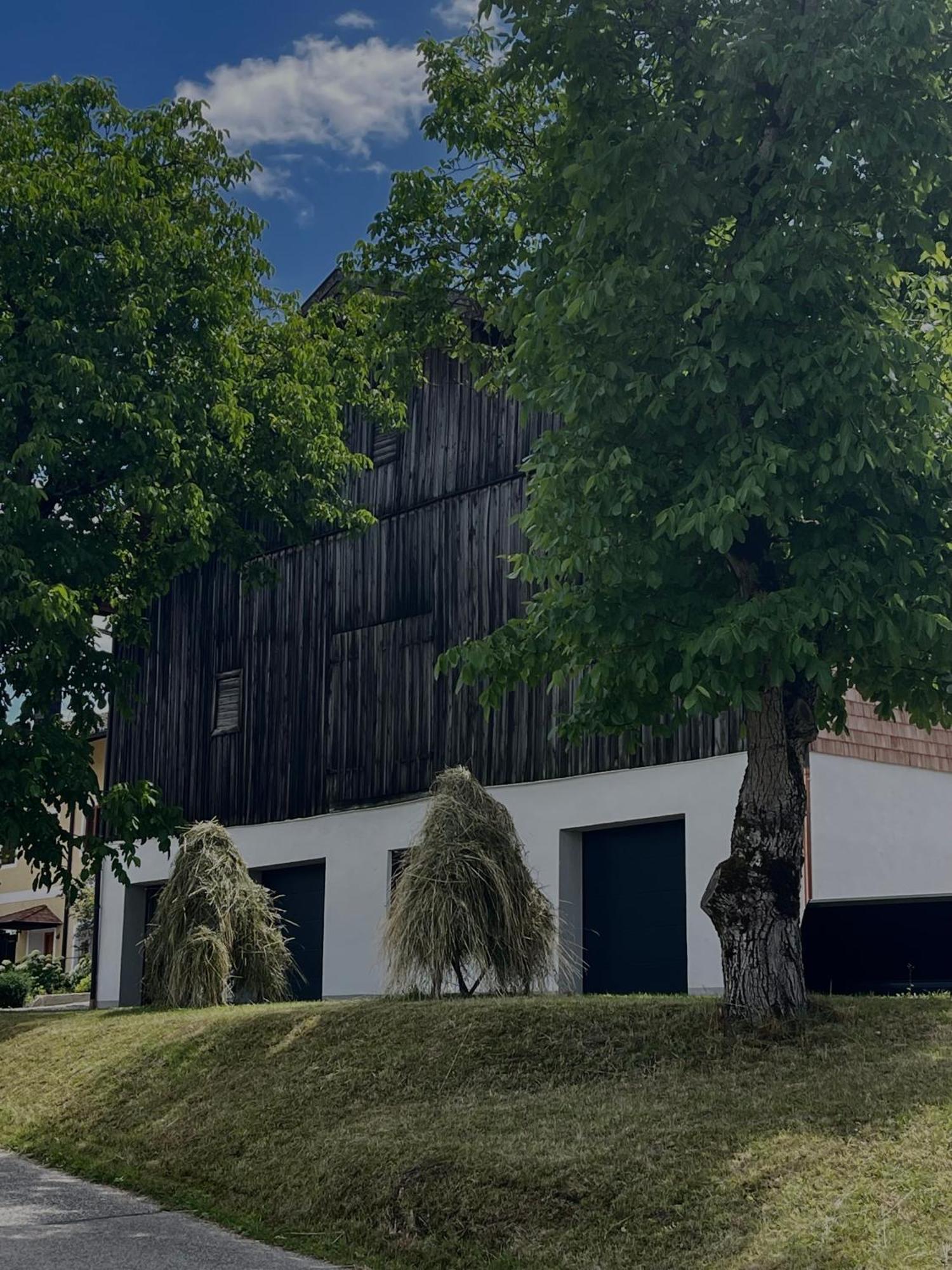 Zuhaeusl Am Chiemsee Appartements Breitbrunn am Chiemsee Dış mekan fotoğraf