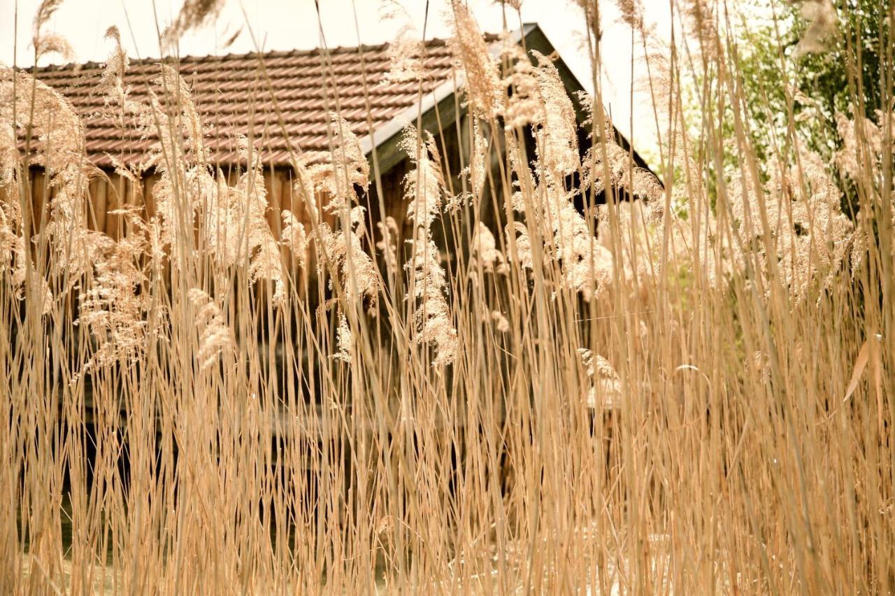 Zuhaeusl Am Chiemsee Appartements Breitbrunn am Chiemsee Dış mekan fotoğraf