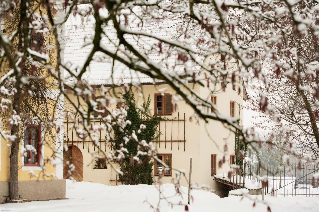 Zuhaeusl Am Chiemsee Appartements Breitbrunn am Chiemsee Dış mekan fotoğraf